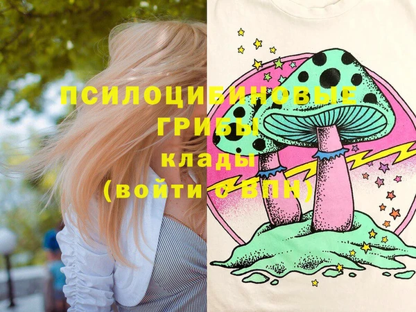 экстази Арсеньев