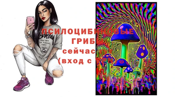 MESCALINE Аркадак